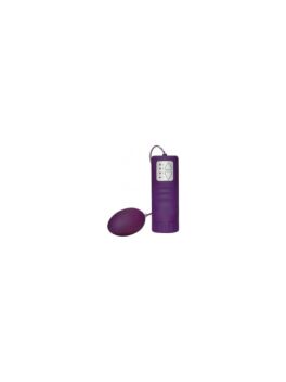 Purple Vibrating Egg